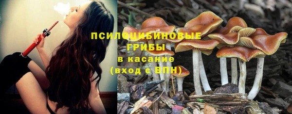 дмт Белокуриха
