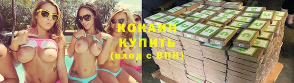 дмт Белокуриха